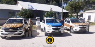 Dos allanamientos y secuestran armas de fuego y cartuchería y productos de la caza furtiva