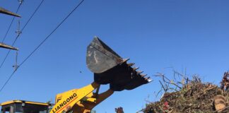 Continúan erradicando microbasurales en la ciudad