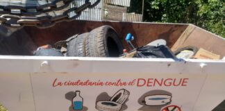 Lucha contra el Dengue: responsabilidad y tarea de todos