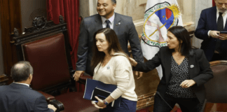 Revés para el Gobierno: el Senado rechazó el mega-DNU de Milei en medio de la interna oficialista y ahora define Diputados