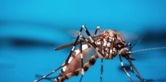 Se registraron 2.460 casos de dengue en Entre Ríos