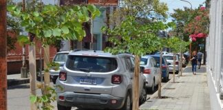 Se plantarán 50 árboles en Concepción del Uruguay