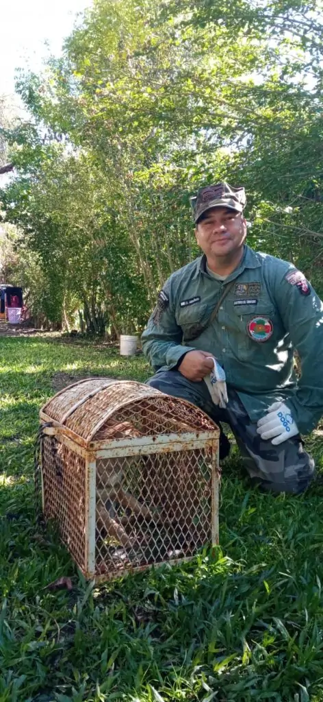 Imagen de WhatsApp 2024-04-17 a las 12.01.13_a892fcc9