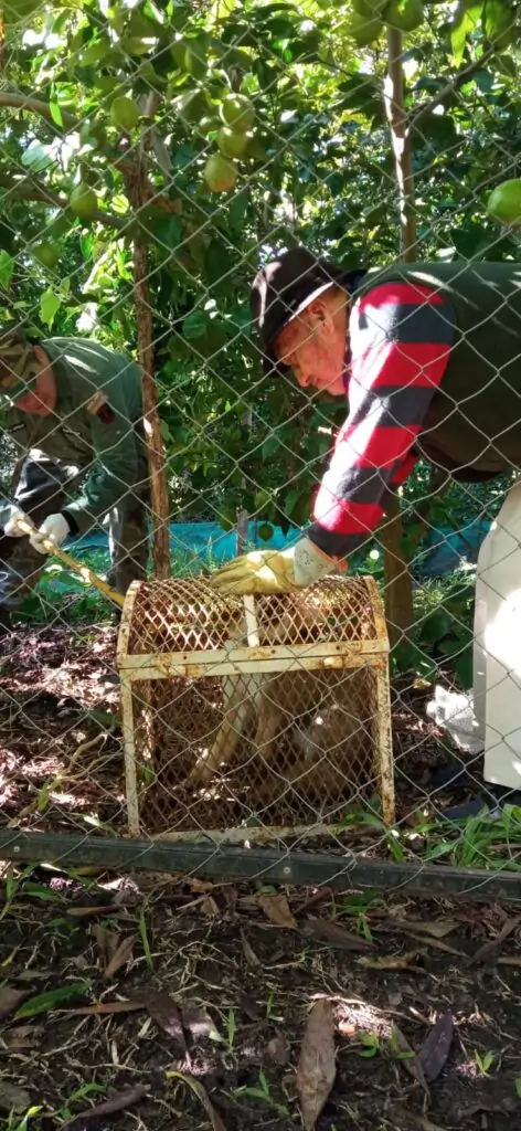 Imagen de WhatsApp 2024-04-17 a las 12.01.14_0c4c3471