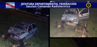 Perdió el control de auto y terminó chocando contra un árbol