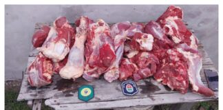 Secuestran más de 100 kilos de cortes cárnicos bovinos