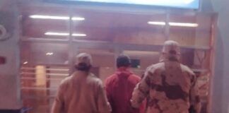 Detenido mientras faenaba un ternero y el secuestro de un arma de fuego