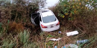 Ruta 12: Un automóvil despistó y terminó entre los arboles