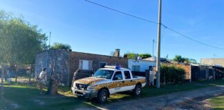 Cuatro allanamientos en Santa Elena por hechos de abigeato