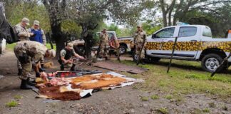 Detenido ciudadano por posesión ilegal de armas y carne de terneros