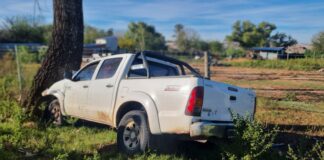 Perdió el control de su camioneta y se chocó un árbol
