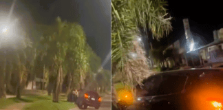 Conductora perdió el control y colisionó contra una palmera en Bvard. Díaz Vélez