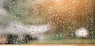 Pronostican lluvias y tormentas para este fin de semana