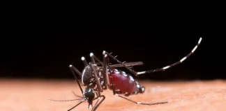 En la última semana se notificaron 2.072 nuevos casos de dengue