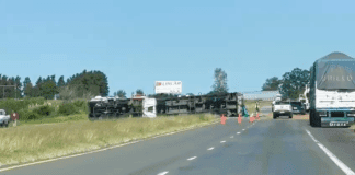 Concepción del Uruguay: Un camión volcó en la Autovía Artigas