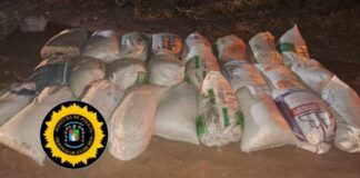 Pareja Uruguayense implicados en la sustracción de alimento balanceado de una Granja