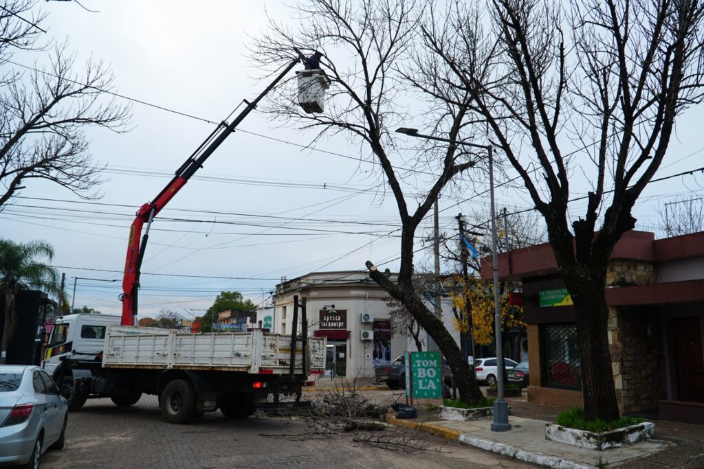 PODA CORRECTIVA Calle San Martin 28 5 2024 1 Uruguayenses