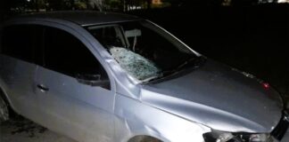 Colisión entre un automóvil y un caballo en la Avenida 25 de junio