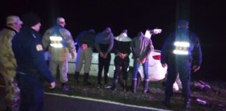Cuatro Detenidos por Abigeato en Gualeguay: Secuestran arma de fuego, remis y animal faenado