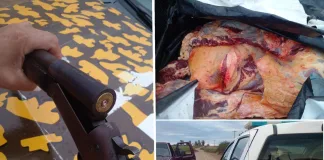 Transportaban carne clandestina para la venta y arma de fuego