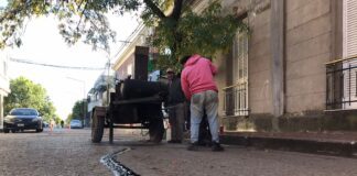 Continuará este lunes el bacheo y la toma de juntas en calles pavimentadas