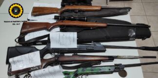Operativos policiales en áreas rurales y fluviales: Secuestran siete armas de fuego en Entre Ríos