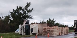Siniestro vial en Autovía N°12: Camión cargado con pollos vivos volcó en el kilómetro 140