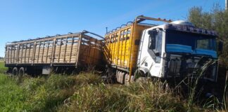 Conscripto Bernardi: Liberaron al camionero del fatal accidente donde perdiera la vida 3 personas