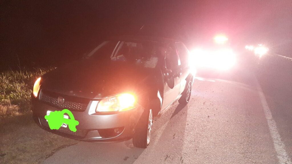 Un vehículo con 5 ocupantes, chocó con un animal vacuno en la Autovía 14