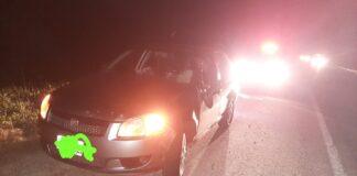 Un vehículo con 5 ocupantes, chocó con un animal vacuno en la Autovía 14