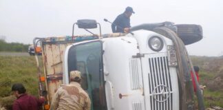 RN12: Un camión reventó una rueda y volcó, transportaba ganado vacuno