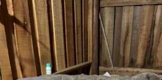 Operativo Policial en la Capital del Citrus desarticula red de Narcotráfico