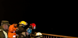Bomberos rescatan a un hombre que intentó arrojarse del Puente Zárate Brazo Largo