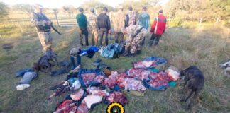 Interceptan a 11 cazadores furtivos en “Colonia El Potrero” con más de 20 perros y animales silvestres faenados