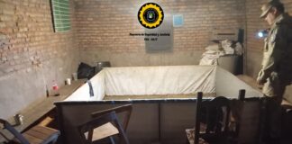 Maltrato animal: Realizaron allanamiento y constatan apuestas ilegales y riñas de gallo en Colonia Florida