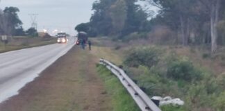 Un ciclista fue embestido por un camión en ruta 39, zona Barrio Hipódromo