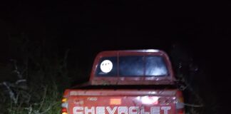 Accidente de tránsito en la ruta Provincial N.º 2: Un vehículo terminó entre los pastizales