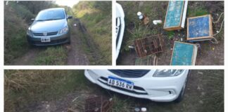 Liberan más de 25 Juan Chiviros cazados con tramperas y pega-pega