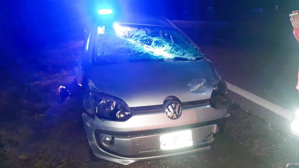 Un automóvil se despistó en ruta nacional 12 esta madrugada