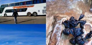 Autovía Artigas: Pasajero de un micro llevaba Marihuana