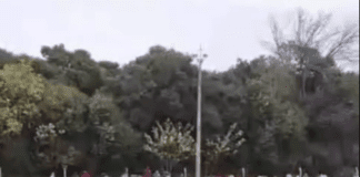 Agredieron a un árbitro en una liga de fútbol de Entre Ríos