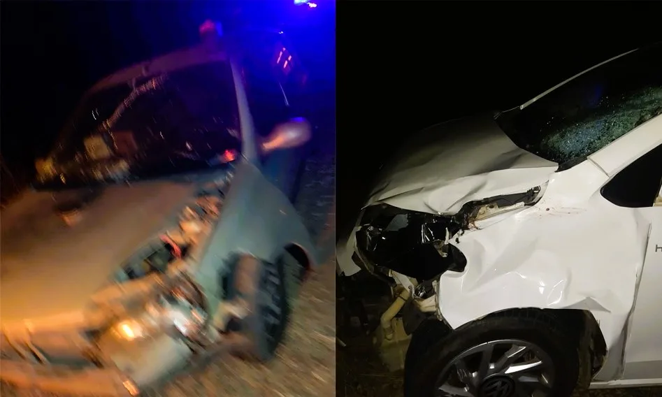 Dos vehículos colisionaron un vacuno suelto en plena Autovía Artigas