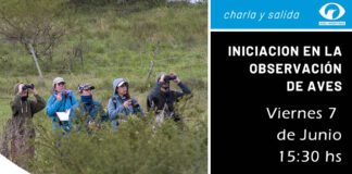 Charla y salida de Observación de aves del COA Güirá Pirá