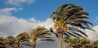 Concepción del Uruguay: Alerta Amarilla por fuertes vientos