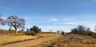 Intensas tareas de limpieza y enripiado en Avenida Tavella