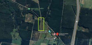 Fatal Accidente: Joven de 15 Años pierde la vida en La Aurora del Palmar mientras circulaba en un cuatriciclo