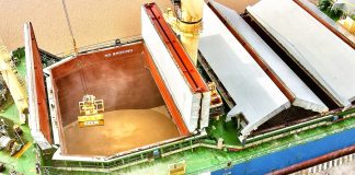 Primera exportación de harina de soja sustentable desde un puerto entrerriano