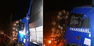 Trágico Accidente en la Ruta Nacional 14 Deja un Camionero Fallecido