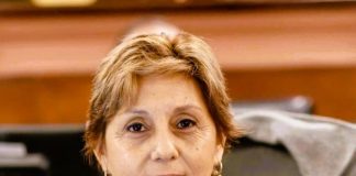 Diputada Salinas: «El Pacto de Mayo es un hito histórico»