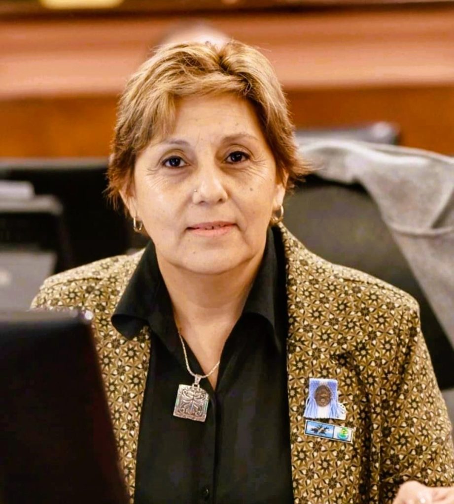 Diputada Salinas: «El Pacto de Mayo es un hito histórico»